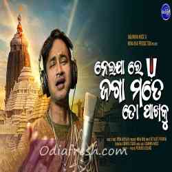 Neija Re Jaga Mate To Pakhoku